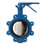 Butterfly Valve